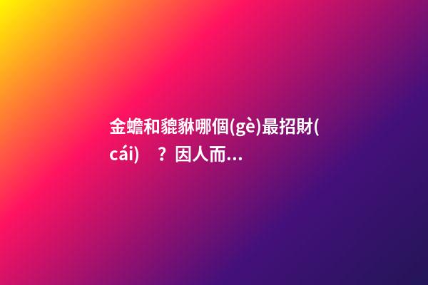 金蟾和貔貅哪個(gè)最招財(cái)？因人而異的嗎？